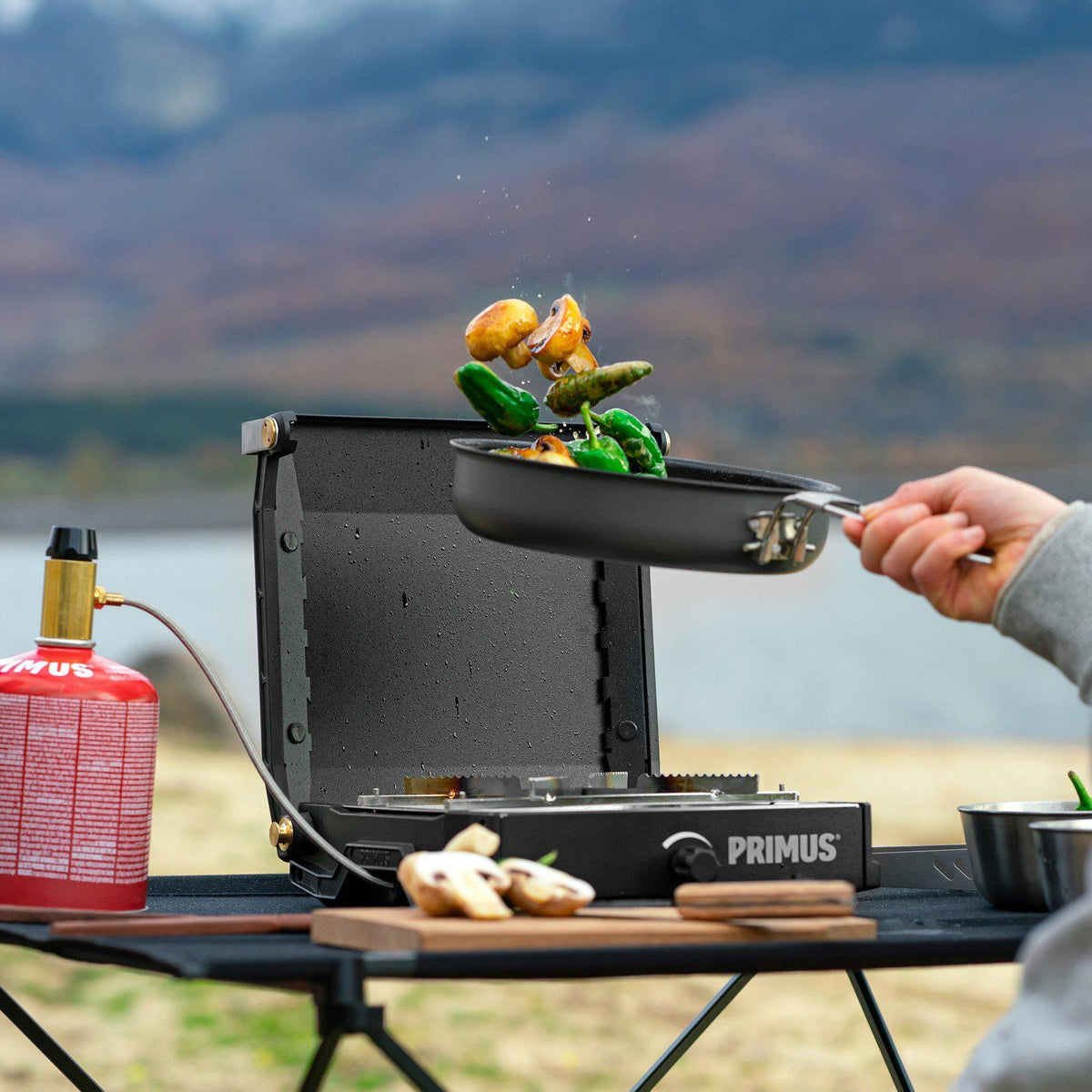 Primus Moja Stove